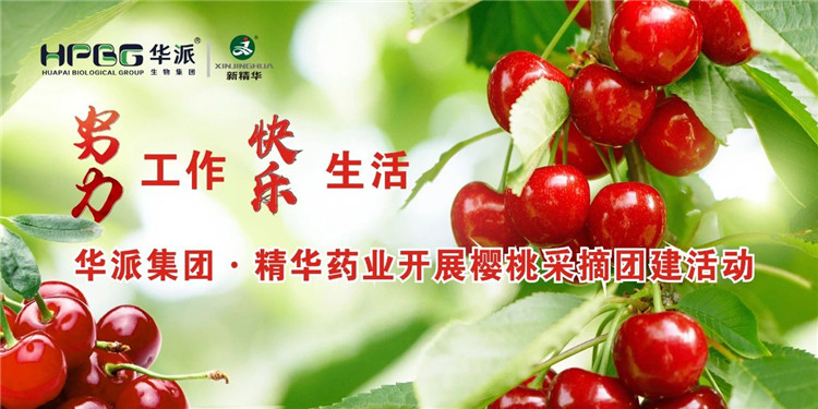 �������� �������� | ���ɼ���&middot;���ֲ�blbҩҵ��չӣ�Ҳ�ժ�Ž��