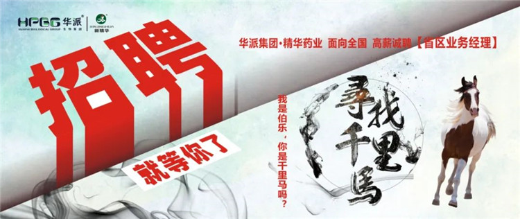 Ѱ��ǧ���� | ���ɼ���&bull;���ֲ�blbҩҵ�� ��ȫ����н��Ƹ��ʡ��ҵ������ ���ǲ���������ǧ��������