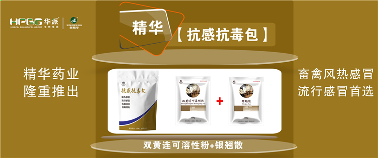 ���գ����ֳ������ݸ�ð��ʢ���Ը�ð�ķ��� |�����п��������������ס������Ŷ����������������ݷ��ȸ�ð��ʢ�и�ð��ѡ!