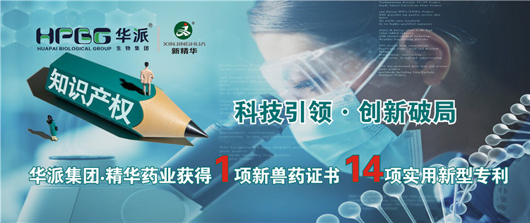 �Ƽ�����&bull;�����ƾ� | ���ɼ���&bull;���ֲ�blbҩҵ���1������ҩ֤�� 14��ʵ������ר��