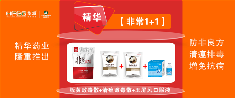 ���գ������������ش�ʩ |������1+1����������, �����Ŷ������⿹�����ӿ������������!