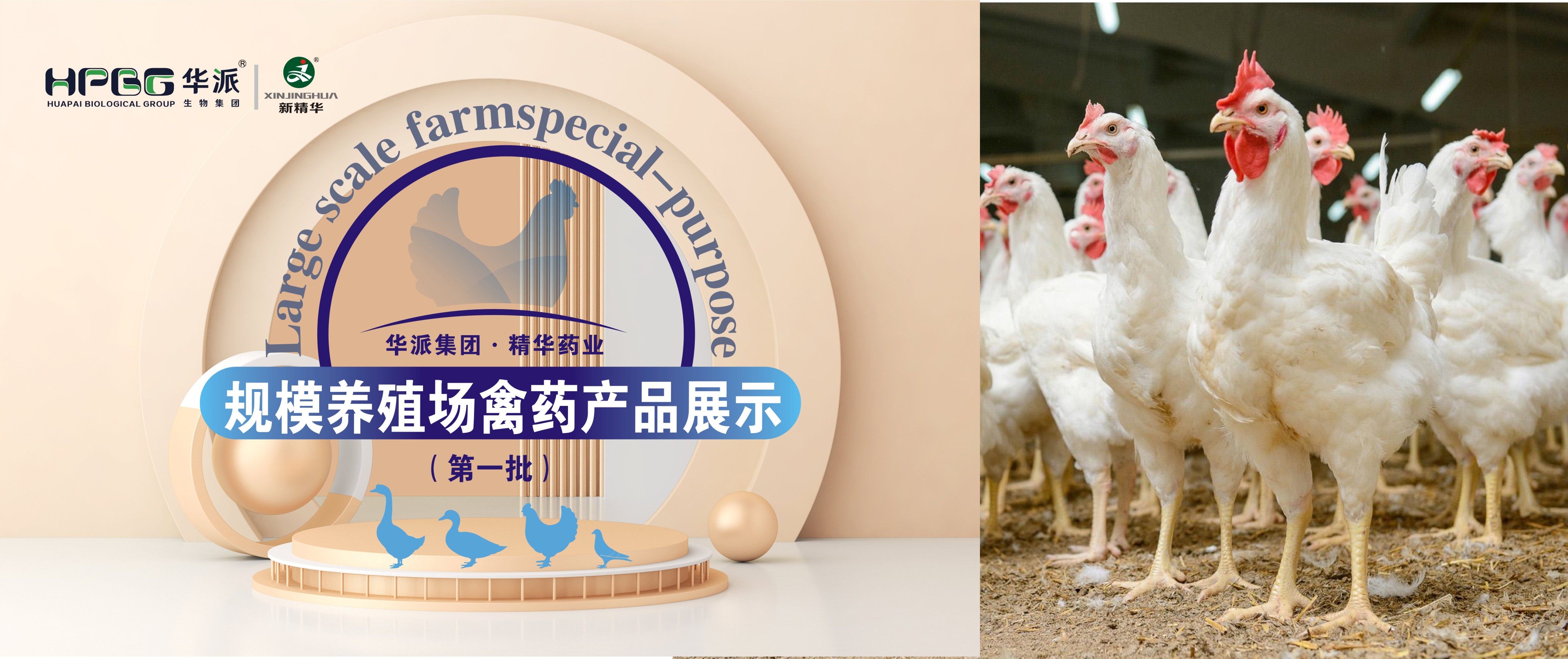 ��������ֳ��ר�� | ���ɼ���&middot;���ֲ�blbҩҵ��������ֳ����ҩ��Ʒչʾ����һ����